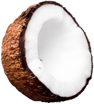 coconut.png